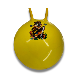 Pelota saltarina 60cm 450gr