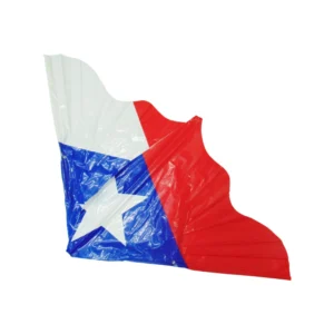 Cometa de Chile