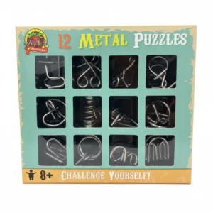 IQ Challenge Metal Wire Puzzles